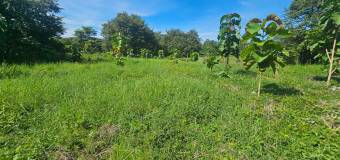 Lote listo para construir en San Pedro de Santa Cruz Guanacaste