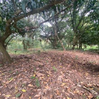 VENTA DE LOTE, USO MIXTO, ALAJUELA, OROTINA, HACIENDA VIEJA 