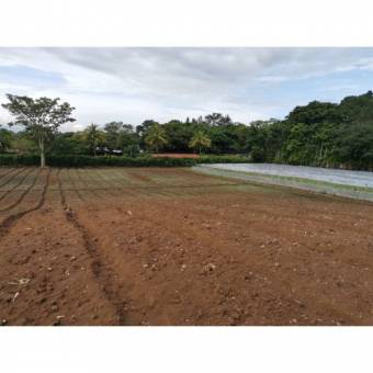 VENTA DE LOTE, ALAJUELA, SAN RAFAEL, CALLE LA CAÑADA 