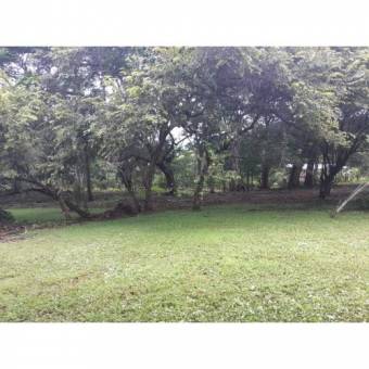 VENTA DE LOTE, USO MIXTO, ALAJUELA, OROTINA, LA CEIBA 