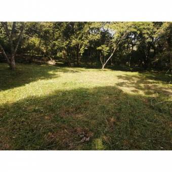 VENTA DE LOTE, USO MIXTO, ALAJUELA, OROTINA, LA CEIBA 