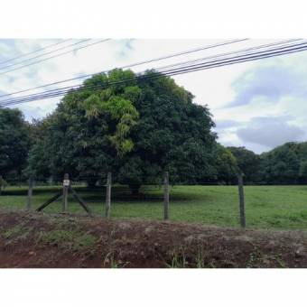 VENTA DE LOTE, USO MIXTO, ALAJUELA, OROTINA, LA CEIBA 