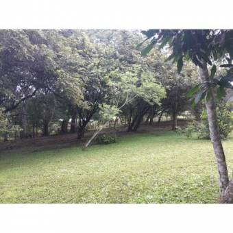 VENTA DE LOTE, USO MIXTO, ALAJUELA, OROTINA, LA CEIBA 