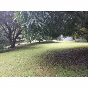 VENTA DE LOTE, USO MIXTO, ALAJUELA, OROTINA, LA CEIBA 