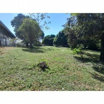 VENTA DE LOTE, USO MIXTO, ALAJUELA, OROTINA, LA CEIBA 