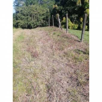 VENTA DE LOTE, USO MIXTO, ALAJUELA, OROTINA, LA CEIBA 