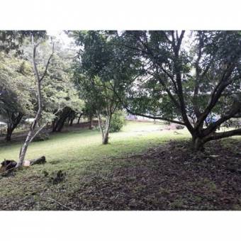 VENTA DE LOTE, USO MIXTO, ALAJUELA, OROTINA, LA CEIBA 