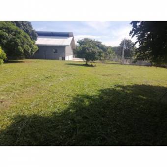 VENTA DE LOTE, USO MIXTO, ALAJUELA, OROTINA, LA CEIBA 