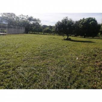 VENTA DE LOTE, USO MIXTO, ALAJUELA, OROTINA, LA CEIBA 