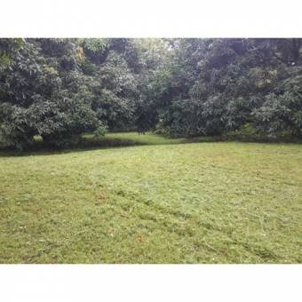 VENTA DE LOTE, USO MIXTO, ALAJUELA, OROTINA, LA CEIBA 