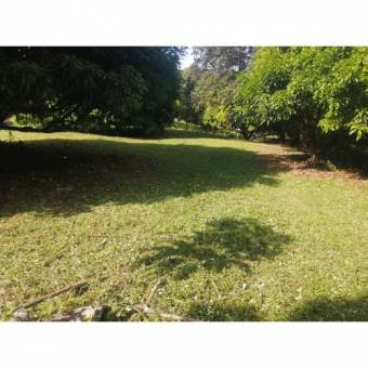 VENTA DE LOTE, USO MIXTO, ALAJUELA, OROTINA, LA CEIBA 