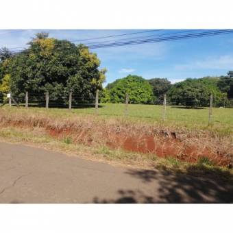 VENTA DE LOTE, USO MIXTO, ALAJUELA, OROTINA, LA CEIBA 