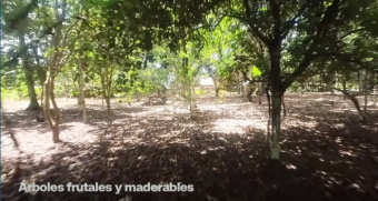 Hotel con amplio terreno  en Perez Zeledón cerca Quebrada Honda