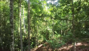 Hotel con amplio terreno  en Perez Zeledón cerca Quebrada Honda