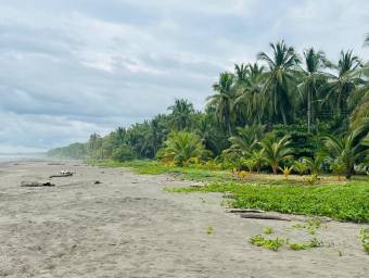 Alquiler de Casa en Parrita, Puntarenas. RAH 25-531