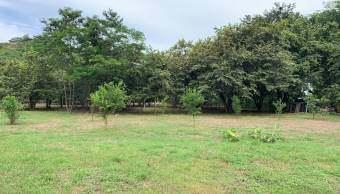 House on a large plot of 3770 m2 in Potrero, Guanacaste