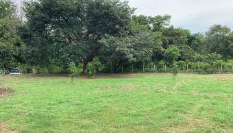 House on a large plot of 3770 m2 in Potrero, Guanacaste