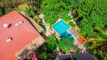 Beautiful property of 7 apartments for rent with 2 swimming pools