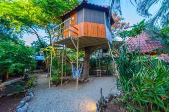 Hotel and restaurant located in Playa Grande