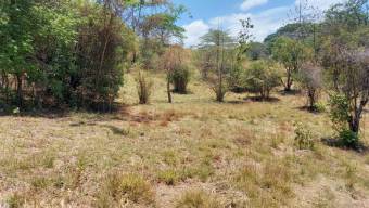 Se vende amplio lote de 30,229m2 en Brasil de Santa Ana 24-1140