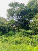 921 m2 lot in the center of Tamarindo, Guanacaste