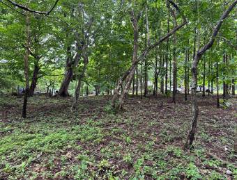 1240 m2 lot located in Santa Rosa, Guanacaste