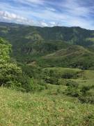 Hermosa finca de 3 hectáreas, Miramar, Puntarenas 