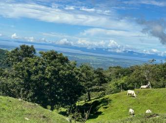 Hermosa finca de 3 hectáreas, Miramar, Puntarenas 