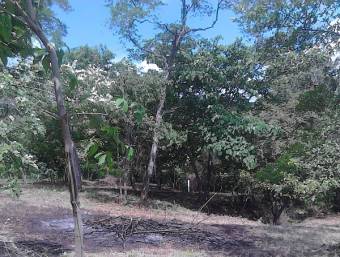 Lote de mas de 4000 m2 a pocos min. de Tamarindo