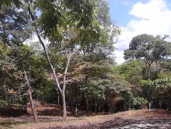 Lote de mas de 4000 m2 a pocos min. de Tamarindo