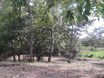 Lote de mas de 4000 m2 a pocos min. de Tamarindo