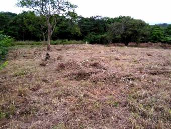 Lote de mas de 4000 m2 a pocos min. de Tamarindo