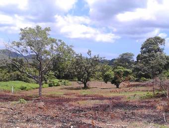 Lote de mas de 4000 m2 a pocos min. de Tamarindo