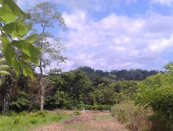 Lote de mas de 4000 m2 a pocos min. de Tamarindo