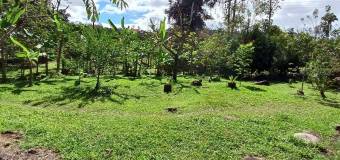 MLS-25-30 VENTA LOTE PERALTA TURRIALBA 