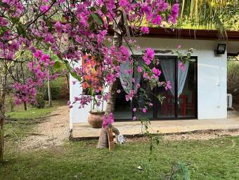 2 houses, pool, and gardens, near Tamarindo