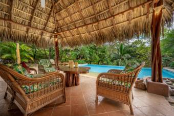 2 houses, pool, and gardens, near Tamarindo