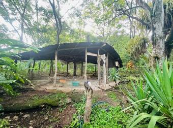 Eco Hotel con río, rodeado de naturaleza, ubicado en La Cruz