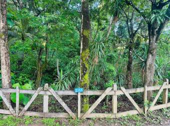 Eco Hotel con río, rodeado de naturaleza, ubicado en La Cruz