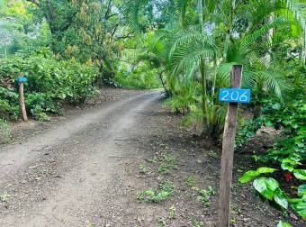 Eco Hotel con río, rodeado de naturaleza, ubicado en La Cruz