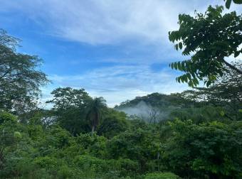 Eco Hotel con río, rodeado de naturaleza, ubicado en La Cruz