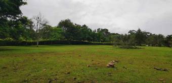 MLS-25-607 VENTA LOTE DE 9.800M2 POCOCI GUAPILES 