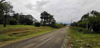 MLS-25-607 VENTA LOTE DE 9.800M2 POCOCI GUAPILES 