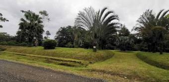 MLS-25-607 VENTA LOTE DE 9.800M2 POCOCI GUAPILES 