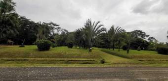 MLS-25-607 VENTA LOTE DE 9.800M2 POCOCI GUAPILES 