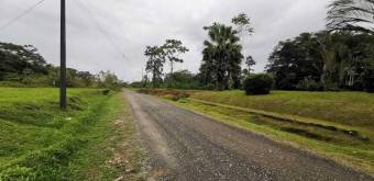 MLS-25-607 VENTA LOTE DE 9.800M2 POCOCI GUAPILES 