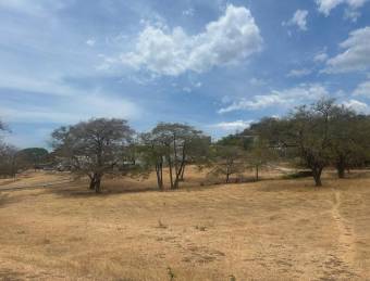 Land for Sale of 586 m2 in Tamarindo.