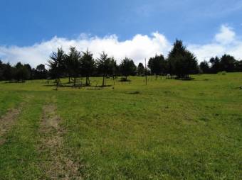 Se vende lote de 7,000m2 en San Jose de la Montaña 23-326