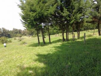 Se vende lote de 7,000m2 en San Jose de la Montaña 23-326