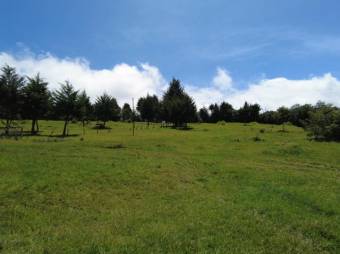 Se vende lote de 7,000m2 en San Jose de la Montaña 23-326